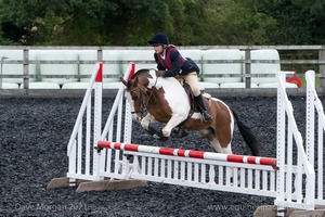 Class 5 - Fences not above 2'6